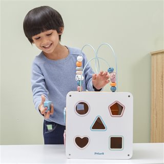 8-in-1 activity cube
